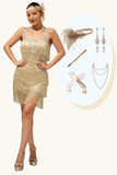 Sparkly Champagne Fringe 1920s Dress with 5-Piece Accessories Set