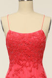 Coral Backless Long Ball Dress with Appliques