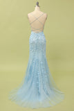 Mermaid Spaghetti Straps Light Pink Long Ball Dress with Appliques