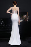 Blush Body-Hugging Mermaid Evening Gown