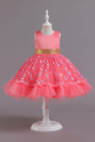 A Line Jewel Neck Pink Girls Party Dress with Appliques