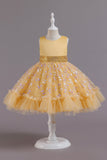 A Line Jewel Neck Pink Girls Party Dress with Appliques