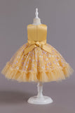 A Line Jewel Neck Pink Girls Party Dress with Appliques