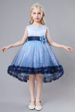 Blue Tulle Glitter Flower Girls Party Dress With Bow