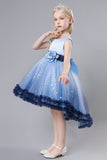 Blue Tulle Glitter Flower Girls Party Dress With Bow