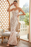 Sequins Sheath Blush Sparkly Ball Dress