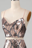 Sparkly Two-piece Sheath Ball Dress with Fringes