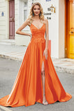 Royal Blue A Line Spaghetti Straps Long Backless Ball Dress with Appliques