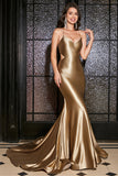 Golden Mermaid Spaghetti Straps Lace-Up Back Long Ball Dress