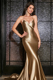 Golden Mermaid Spaghetti Straps Lace-Up Back Long Ball Dress