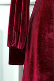 Dark Red Knee Long Velvet Party Dress