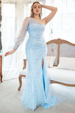 Mermaid One Shoulder Sky Blue Plus Size Tulle Ball Dress with Appliques