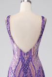 Dark Purple Mermaid V Neck Sequins Long Ball Dress