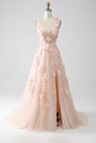Blush A-Line Spaghetti Straps Long Ball Dress with Appliques