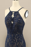 Navy Mermaid Lace Long Ball Dress