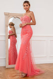 Strapless Coral Appliqued Tulle Long Ball Dress