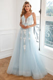 Light Blue Appliques Tulle Ball Dress