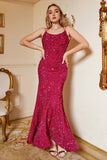 Fuchsia Sequin Mermaid Plus Size Ball Dress with with Sweep Train