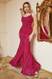Fuchsia Sequin Mermaid Plus Size Ball Dress with with Sweep Train
