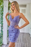 Sparkly Purple Corset Cocktail Dress with Appliques
