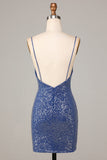 Dark Blue Sparkly Sheath Spaghetti Straps Short Homecoming Dress with Embroidery