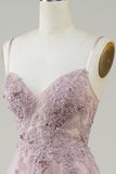 Sparkly Blush A-Line Tulle Long Ball Dress with Lace