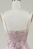 Sparkly Blush A-Line Tulle Long Ball Dress with Lace