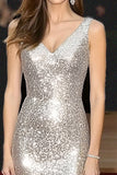 Sparkly Silver V-Neck Sheath Gala Dress