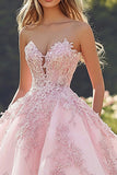 Princess Blush Ball Gown Strapless Tulle Quinceanera Dress with Appliques