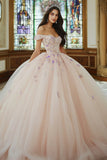 Pink Ball Gown Off The Shoulder Tulle Appliqued Quinceanera Dress