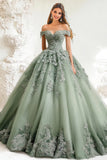 Dusty Sage Ball Gown Off The Shoulder Tulle Appliqued Quinceanera Dress