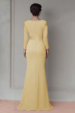 Blush Lace Sheath Mother Of The Bride Dress with Long Sleeves