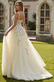 Light Yellow A-Line Spaghetti Straps Embroidered Tulle Long Ball Dress