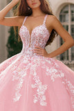 Pink Spaghetti Straps Ball-Gown Appliqued Quinceanera Dress
