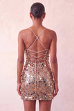 Sparkly Silver Bodycon Lace Up Back Short Party Dress with Sequins