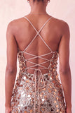 Sparkly Silver Bodycon Lace Up Back Short Party Dress with Sequins