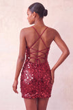 Sparkly Silver Bodycon Lace Up Back Short Party Dress with Sequins