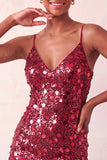 Sparkly Silver Bodycon Lace Up Back Short Party Dress with Sequins