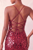 Sparkly Silver Bodycon Lace Up Back Short Party Dress with Sequins