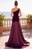 Burgundy One Shoulder Mermaid Velvet Ruched Maxi Dress
