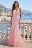 Pink V-Neck Mermaid Appliqued Tulle Ball Dress