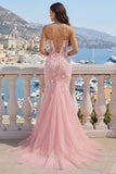 Pink V-Neck Mermaid Appliqued Tulle Ball Dress