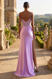 Champagne Appliqued Corset Mermaid Long Ball Dress with Slit