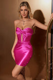 Stylish Fuchsia Bodycon Sweetheart Satin Corset Short Homecoming Dress