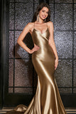 Mermaid Golden Spaghetti Straps Ball Prom Dress with Accessory