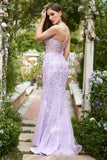 Purple Mermaid Sweetheart Neck Long Ball Dress With Appliques