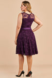 Grape Short Plus Size Lace Dress