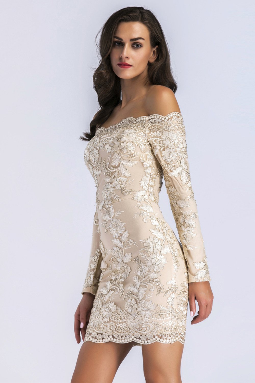 Champagne Lace Long Sleeves Bodycon Dress