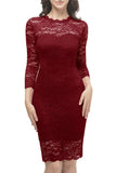 Bodycon Lace Dress with Sleeves