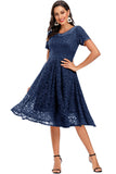 Vintage Lace Dress with Short Sleeves